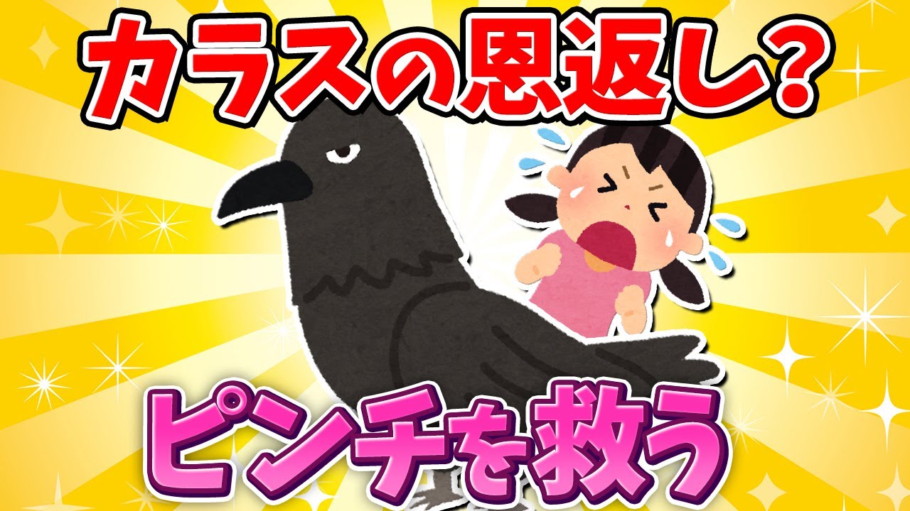 【2ch面白いスレ】カラスが女の子に恩返し?女の子に窮地にカラスが出会った結果【ゆっくり解説】 - YouTube