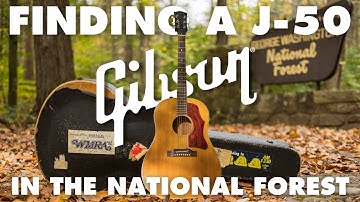 I found a vintage @gibsonguitar J-50 in the National Forest! What does it take to get it sorted?