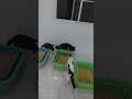 初めてレオ君のガチギレ見ました！
