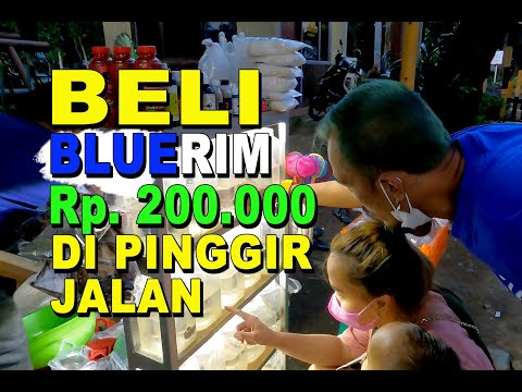 BELI BLUERIM Rp  200 000 DI PINGGIR JALAN SAMPING REL TANAH KUSIR