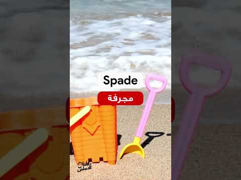 كلمات انجليزي تحتاجها في الشاطئ