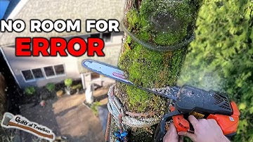 This Maple was in a CHALLENGING Spot!! - Bigleaf Maple Removal