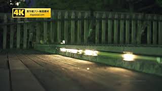 【4K】夜景動画素材（著作権フリー／商用利用可能）りんくう公園17（夜景）