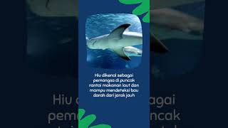 Fakta Unik tentang Hewan Part 14 #shorts