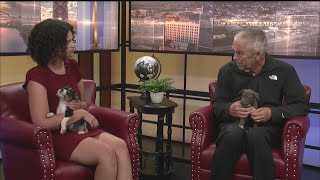 Friday Pets 7/18/25