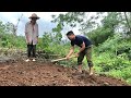 Diary of building a new life making land to plant vegetables harvesting pumpkins to sell