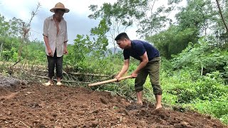 Diary of building a new life: Making land to plant vegetables, harvesting pumpkins to sell