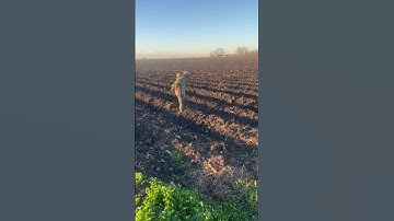 Thumbnail of Dirt on my Boots