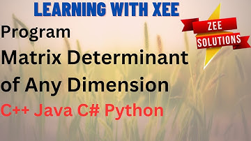 Program to find Matrix Determinant of Any Dimension