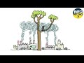 Quiz sur la Disparition des Singes