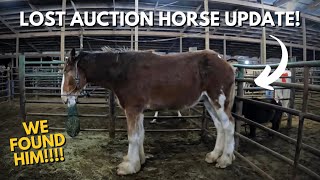 UPDATE: OUR GOAL HAS BEEN REACHED!!!! 2272023  We Found The Sad Clydesdale Auction Horse!