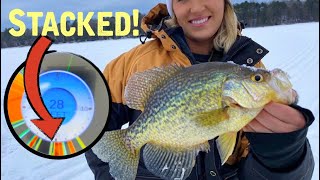 Catching TONS of Crappies Ice Fishing + Flasher Cam