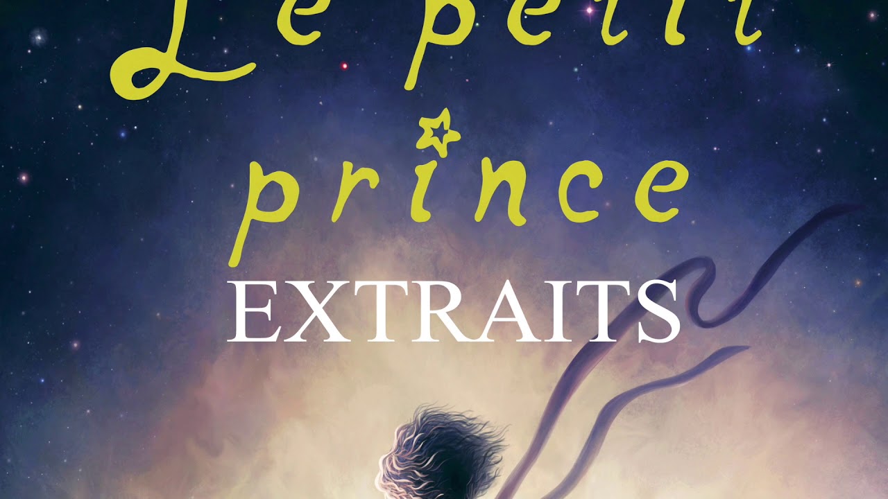 24 Le Petit Prince et l'aviateur - Le départ du petit prince (3e partie