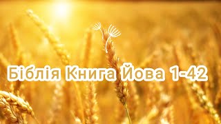 Аудіо Біблія українською мовою ❤️ Книга Йова 1-42 🌷