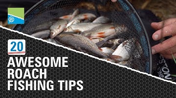 20 GEWELDIGE tips voor het vissen op voorn!