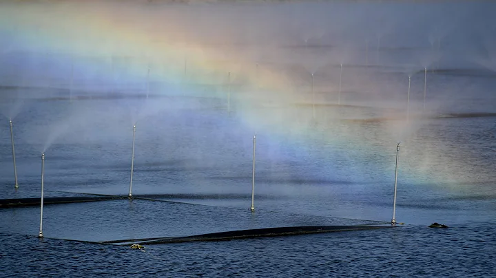 Piney Point is a big problem for Manatee. How can it be fixed?