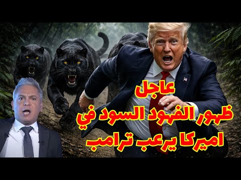 ظهور الفهود السود في اميركا يرع ب ترامب معتز مطر مع معتز قصص القرآن