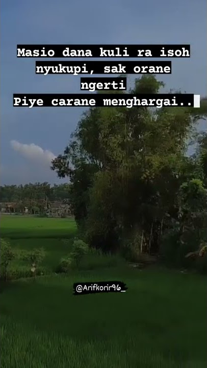 STORY WA Angel 2 yeni inka