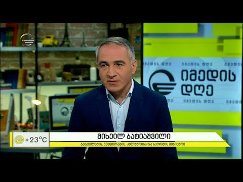 რეფორმა განათლების სისტემაში - მიხეილ ბატიაშვილი