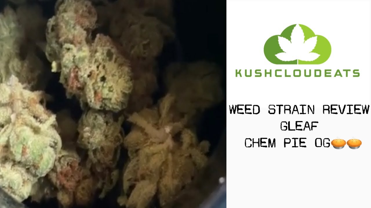 WEED STRAIN REVIEW‼️ - CHEM PIE OG🥧🥧
