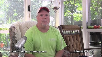 #3 Cumming Tree Removal Tip To Save Money
