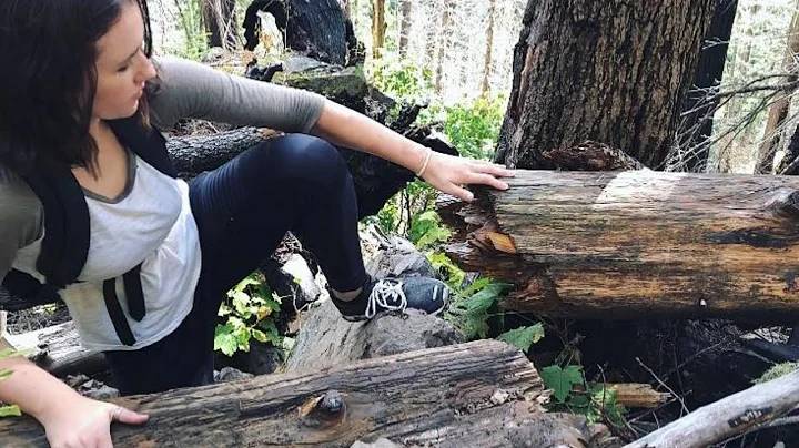 WE COULD HAVE DIED | Lake Constance Trail, WA