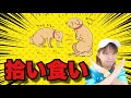 犬の拾い食いは超危険！やめさせるために日頃の練習で拾い食いを防ぎましょう