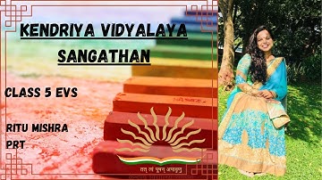 EXPERIMENTS WITH WATER || P-T 1 ||CLASS 5 EVS ||