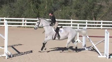 Teaching the Automatic Release Over Jumps - Part 2