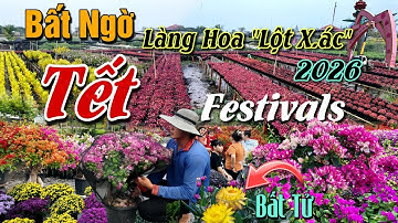TẾT MIỀN TÂY 2026 : LÀNG HOA SA ĐÉC THAY ĐỔI NGOẠN MỤC ĐÓN FESTIVALS TRĂM HOA KHOE SẮC CHỜ KHÁCH