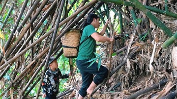 Into the Bamboo Wilderness2. Forest Foraging Adventure3. Climbing Through Nature’s Maze