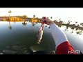 Bass &amp; Trout fishing at AZ Urban ponds