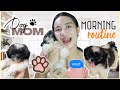 Morning routine with my dog  morning routine with my shih tzu