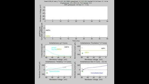 Active Properties of Neocortical Pyramidal Neuron Dendrites: Supplemental Video 2
