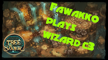 [Tree of Savior] Wizard c3 doing Underground Chapel Dungeon!