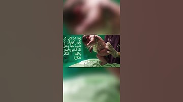 ولله غيب السماوات والارض الشيخ ياسر الدوسري جمال وخشوع لامثيل له من سورة النحل