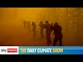 The Daily Climate Show: How much carbon do wildfires release?