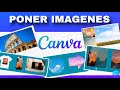 Cómo Usar Imágenes en Canva | Insertar, Recortar, Fondos, Marcos y Mockups 📸