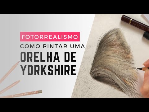 Pintura realista: pintando a orelha da Yokshire Gigi