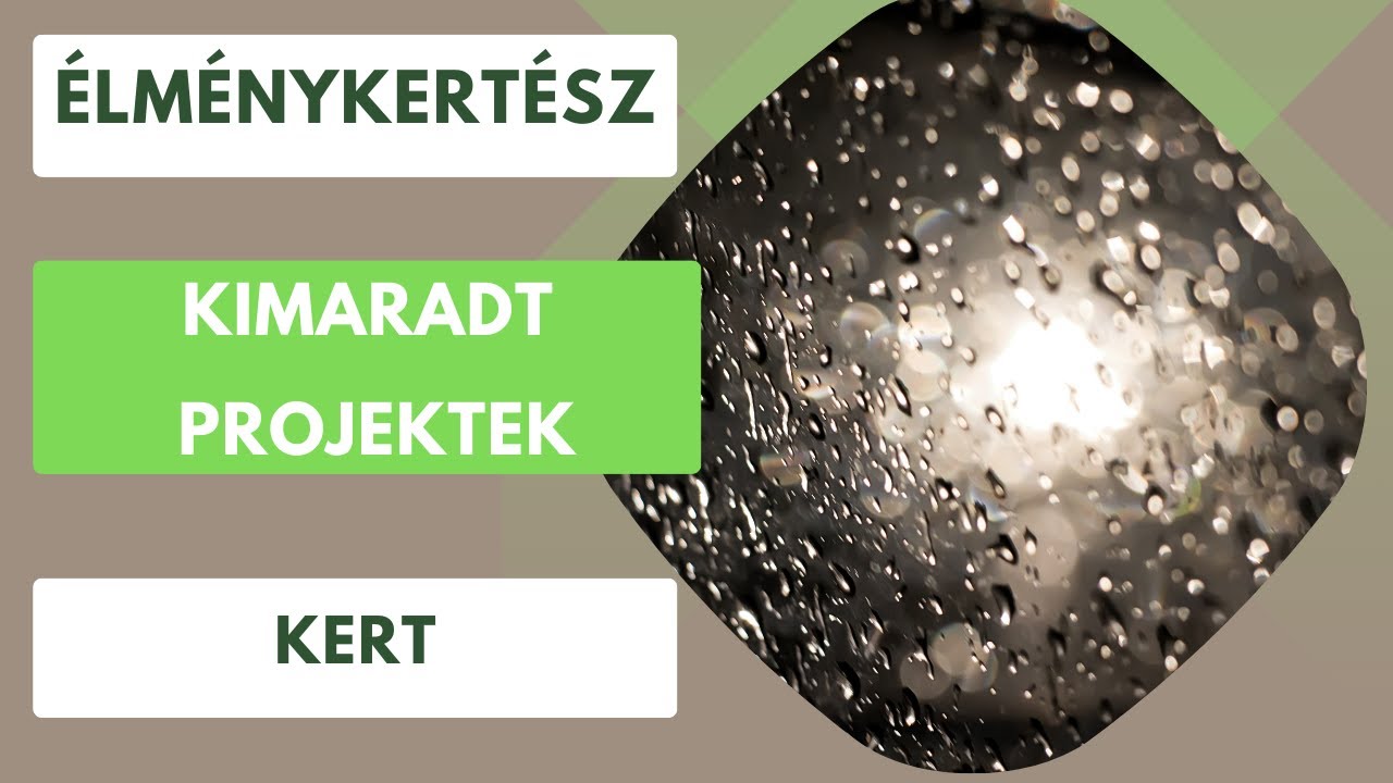 Kimaradt projektek a kertben amiket jövőre be kell fejezni! Pergola, kerti csobogó, esővízgyűjtők.💧