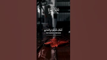 #القاري عبدالرحمن مسعد #سورة السجدة #اكتب شي توجر عليه #love quran #explore