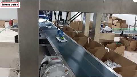 Salt bag robot hand sorting feeding cartoning machine automatic robot hand pick sorter encasing line