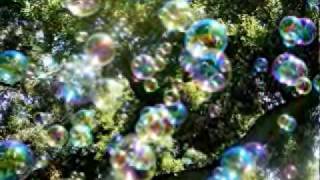 Bubbly Toes- Jack Johnson (With Lyrics)