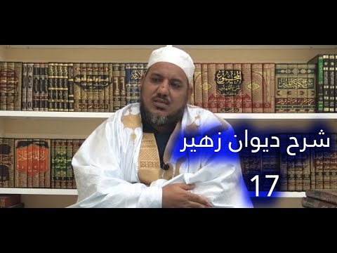شرح ديوان زهير بن أبي س لمى 17 الشيخ محمد محمود الشنقيطي