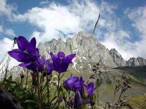 ვასო ჩადუნელი/გურამ ლაცაბიძე/ შენ წახველ