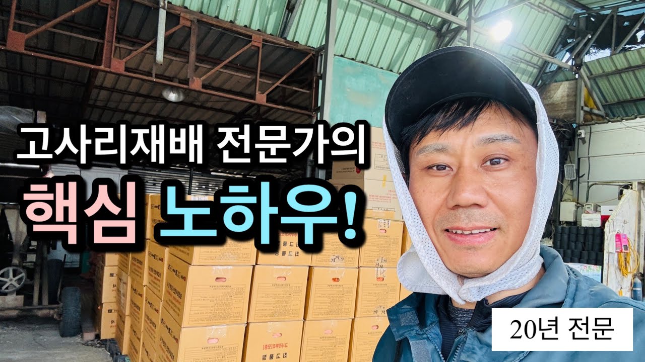 고사리재배 전문가의 20년 핵심 노하우! | 고사리재배 성공 포인트 총정리!