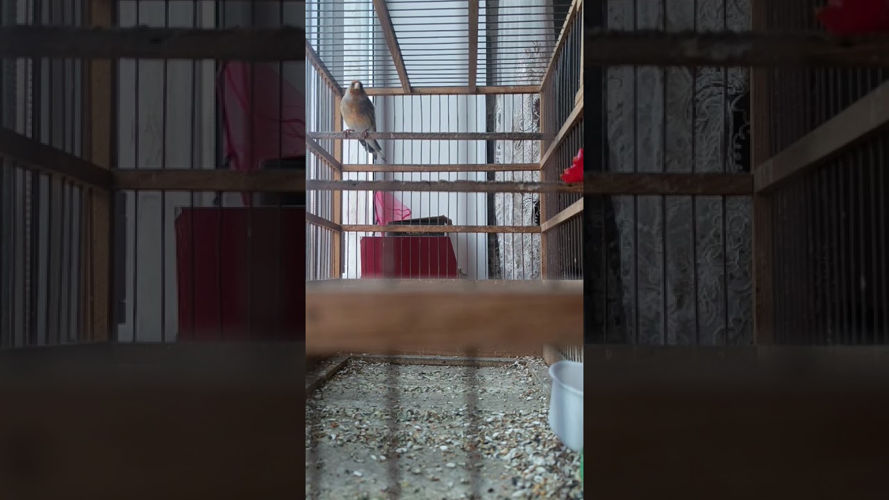 20 января 2026 г.