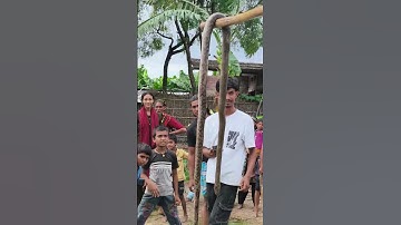 OMG 😱 big snake 🐍 caught #youtubeshorts #snake #public #youtubeshorts #viralshort #vlog #village