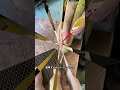 #科普 #科学解説