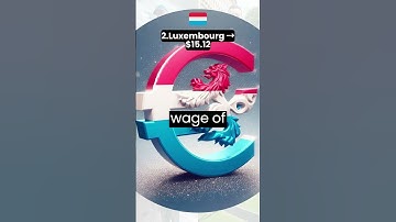 Top 5 Countries with the Highest Minimum Hourly Wage #minimumwage #top5 #workersrights